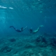 friends meet underwater