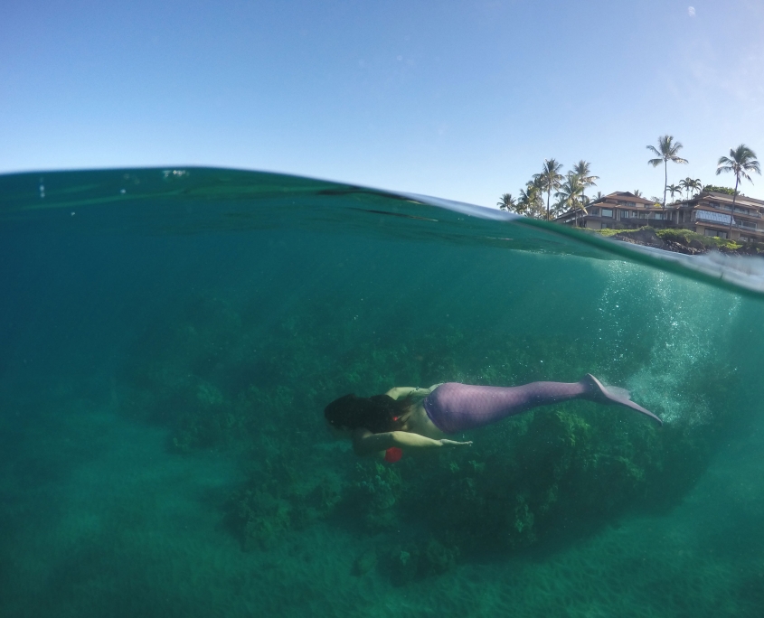 Mermaid Shoreline